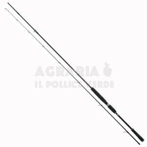 Canna Rapture Forward