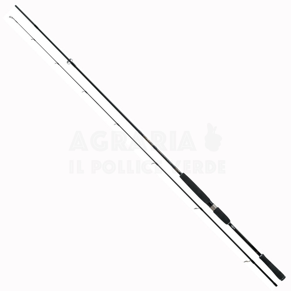 Canna Rapture Forward