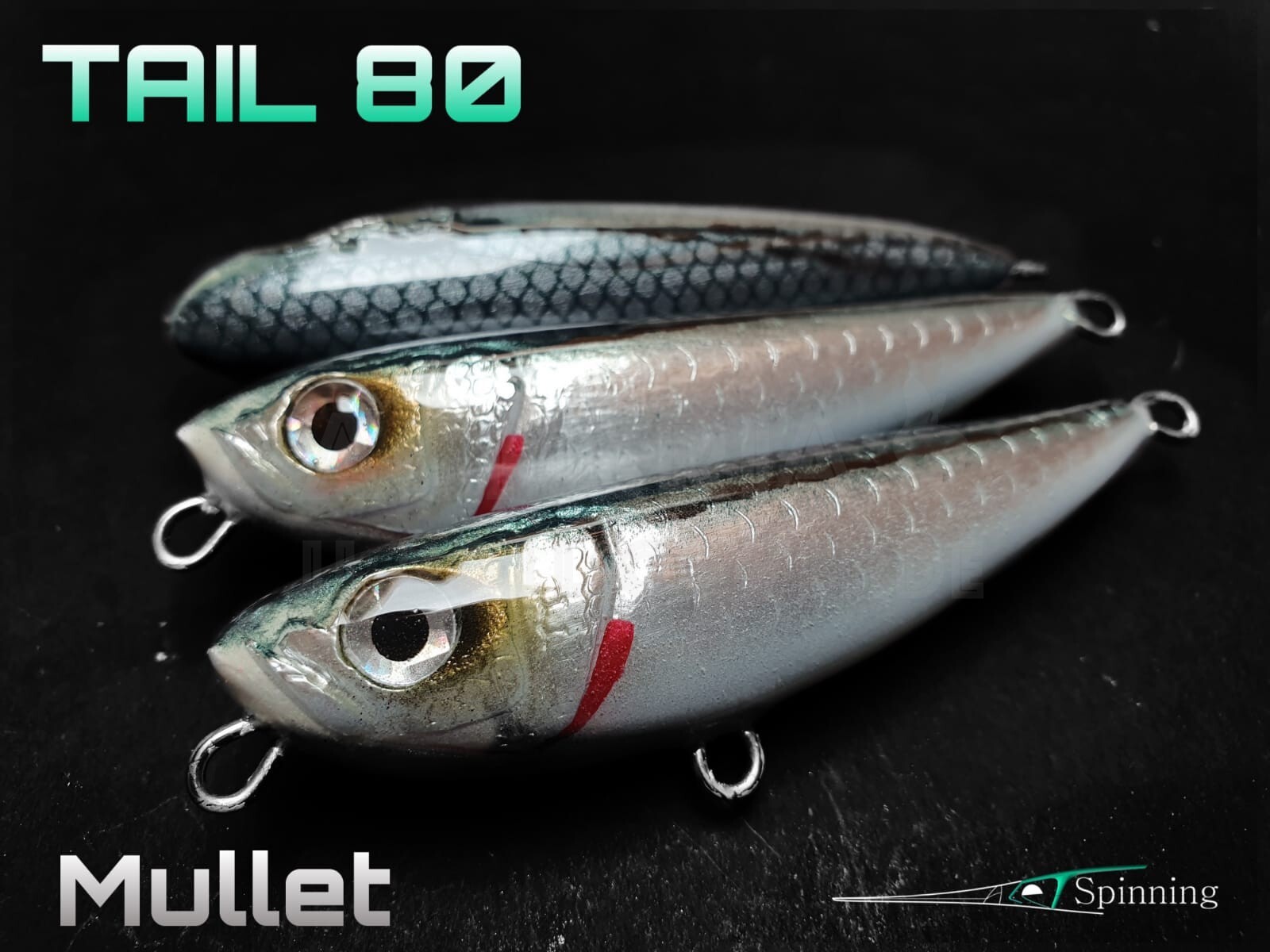 Tail 80 Alet Spinning