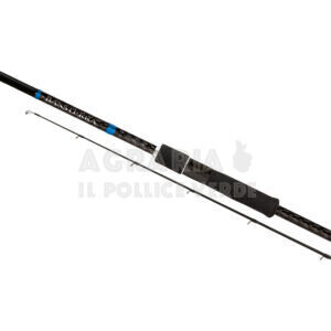 Canna Shimano Bassterra Sea Bass