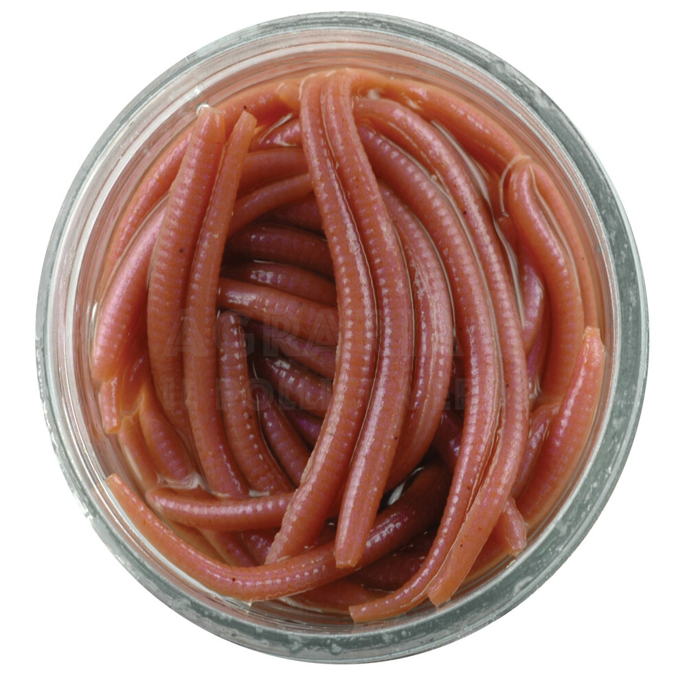 Berkley Gulp!® Angle Worm