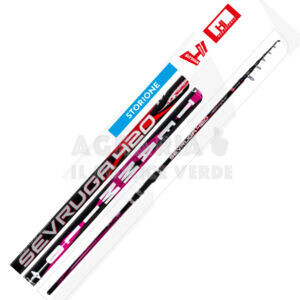 Canna Milo Sevruga Storione