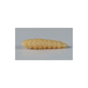 Larva del Miele Righetti Bait
