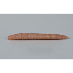 Verme Piatto Righetti Bait