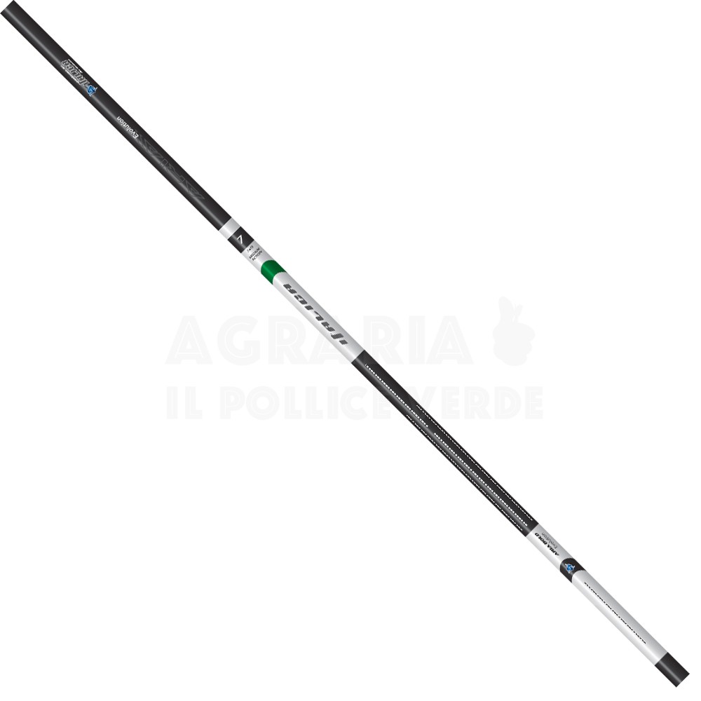 Italica Aria Evolution Medium Bolo